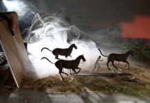 WWF को नयाँ मनमोहक एनिमेशन WWF को नयाँ मनमोहक एनिमेशन